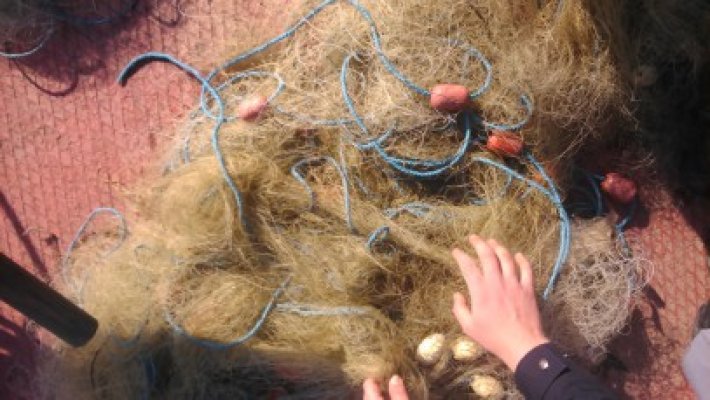 Braconieri, prinşi în flagrant la pescuit electric